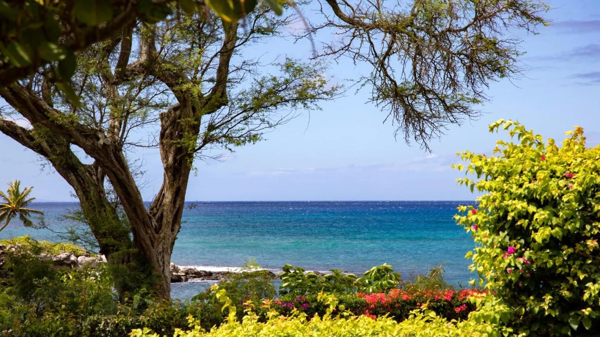 Kbm Resorts Stunning Ocean Views Spacious 2-Bedroom Napili Point Collection Multi Unit Listing Same Building 2 Free Rental Cars Nap-A25B26 Apartamento Napili-Honokowai